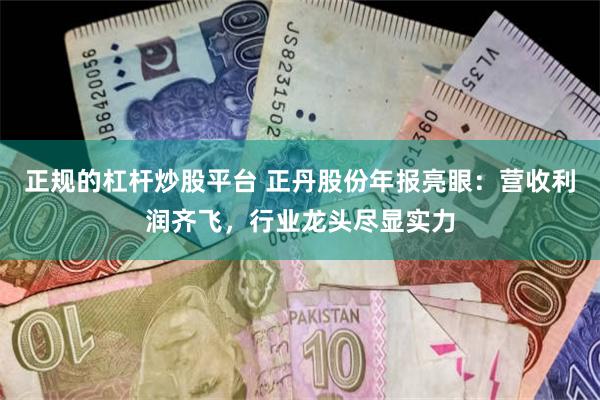 正规的杠杆炒股平台 正丹股份年报亮眼：营收利润齐飞，行业龙头尽显实力