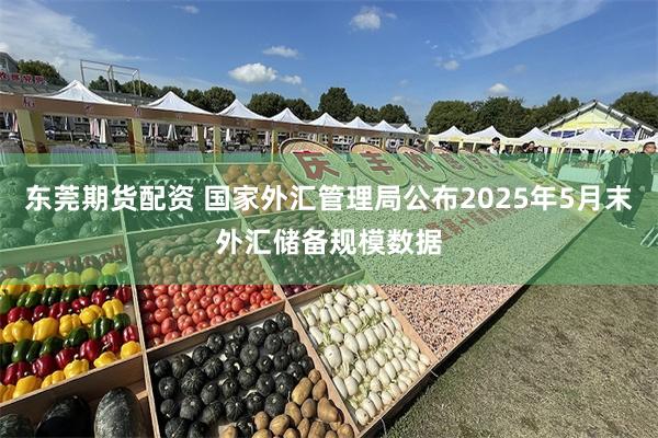 东莞期货配资 国家外汇管理局公布2025年5月末外汇储备规模数据