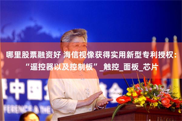 哪里股票融资好 海信视像获得实用新型专利授权：“遥控器以及控制板”_触控_面板_芯片