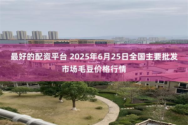 最好的配资平台 2025年6月25日全国主要批发市场毛豆价格行情
