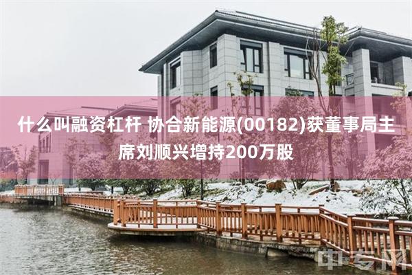 什么叫融资杠杆 协合新能源(00182)获董事局主席刘顺兴增持200万股
