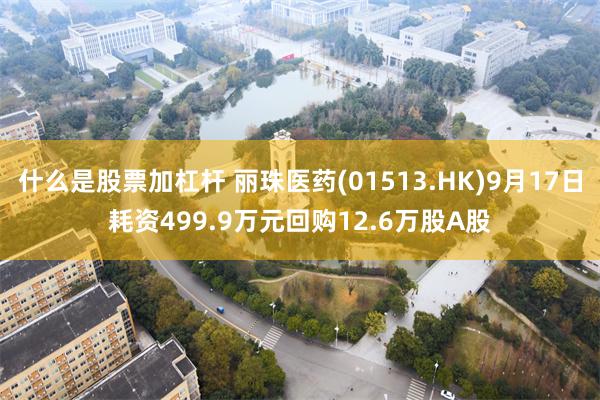 什么是股票加杠杆 丽珠医药(01513.HK)9月17日耗资499.9万元回购12.6万股A股